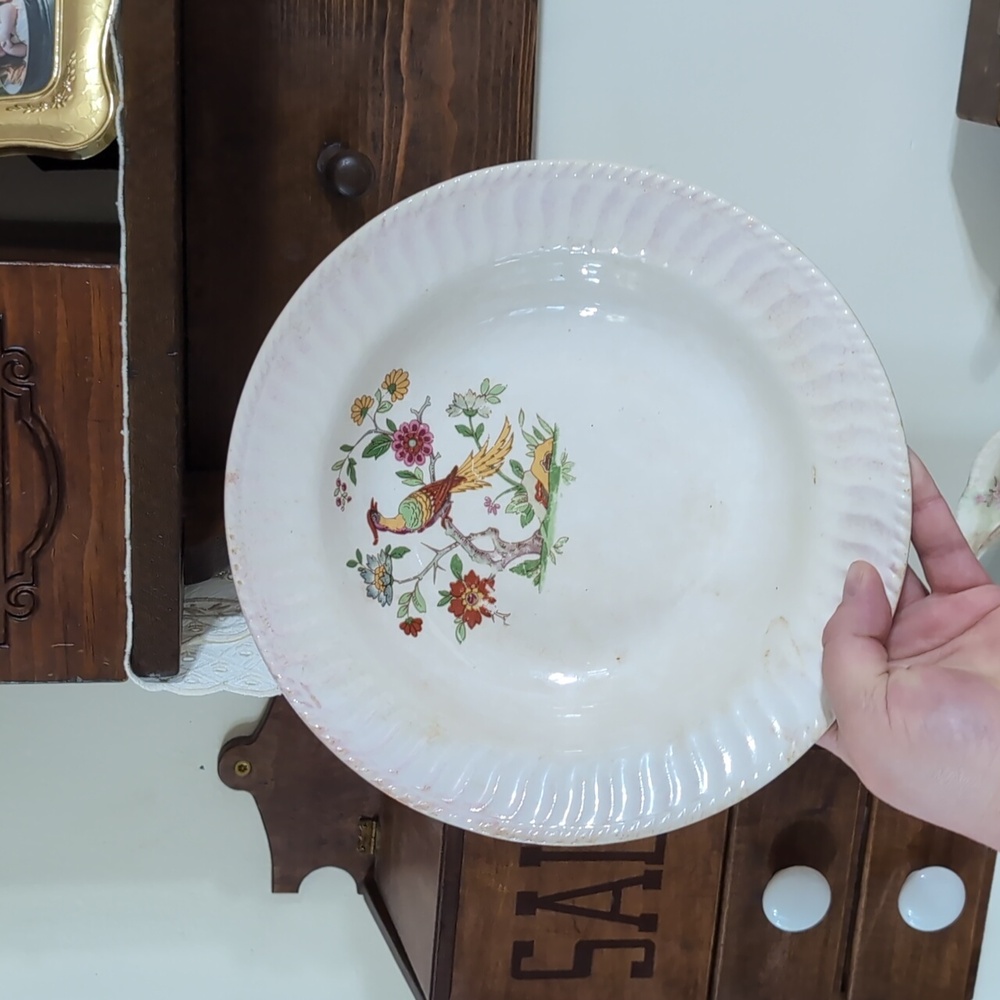 Vintage Royal Tara Fine Bone China Bowl 1950s Glaway Ireland Bird Floral Design